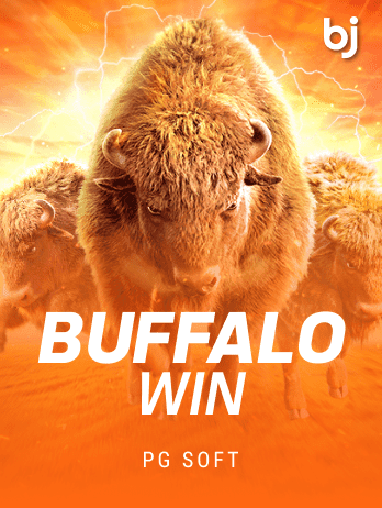Buffalo Win screenshot